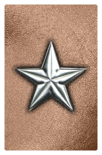 DF35T 430 SL BZ Star Silver Bronze